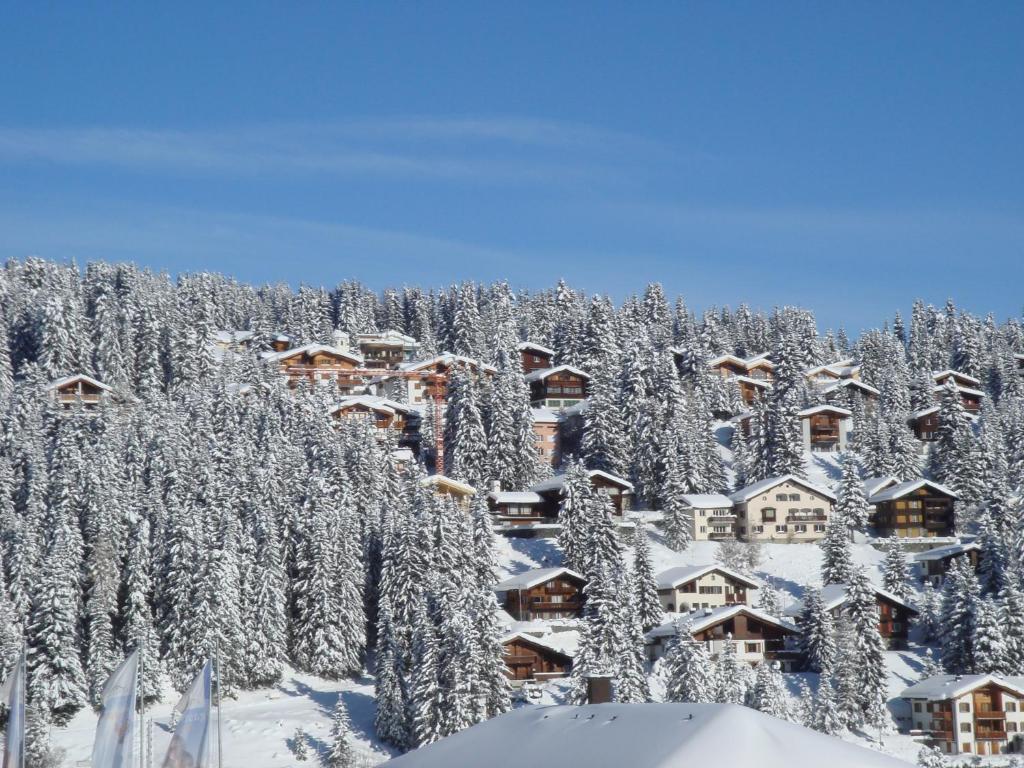 Arosa Vetter Hotel Екстериор снимка